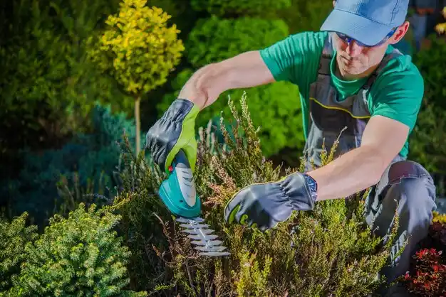 landscaping services Uhrichsville